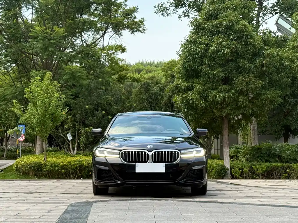 BMW 5 Series 2022