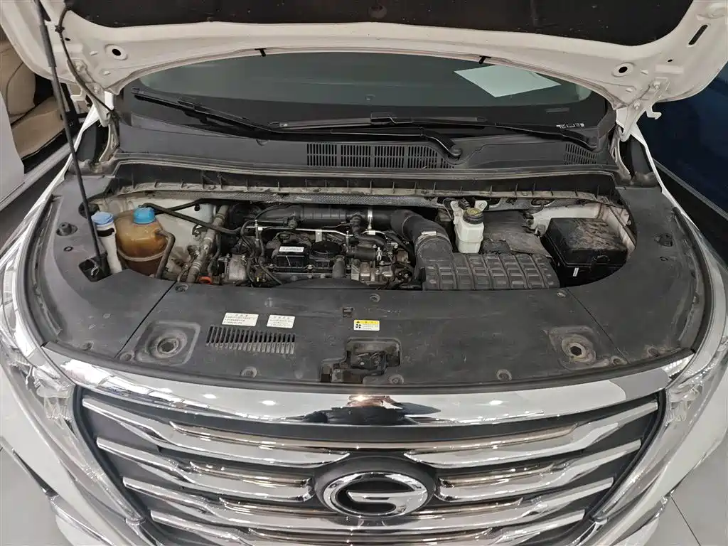 GAC Motor Trumpchi M8 2020 — фото 20
