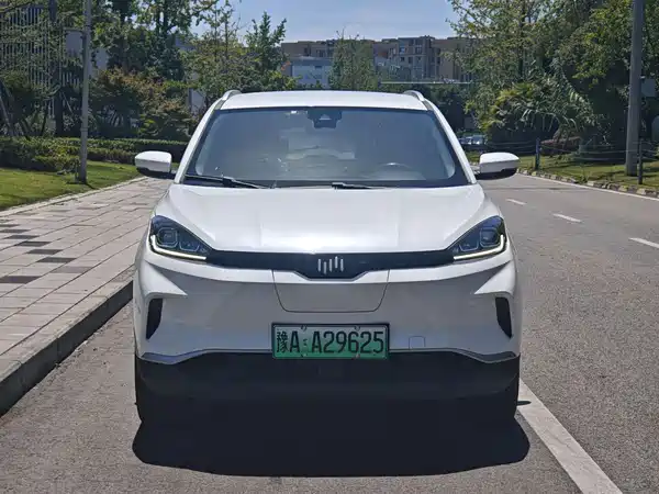 WM Motor EX5 2019