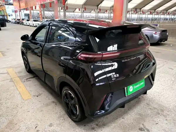 BYD Seagull 2024