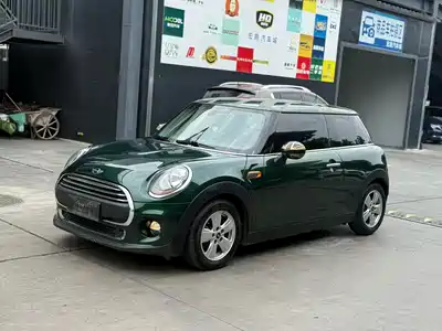MINI MINI 2015