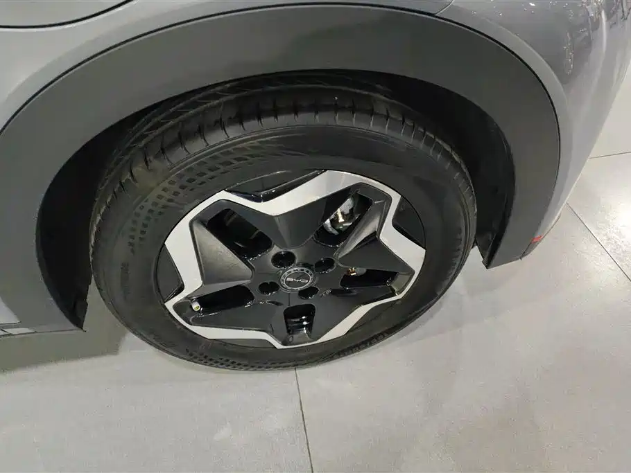 BYD Dolphin 2022