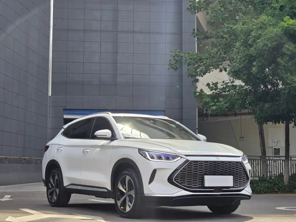 BYD PLUS New Energy 2022 — фото 3