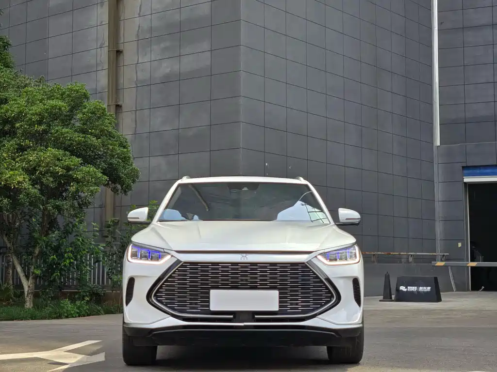 BYD PLUS New Energy 2022 — фото 4