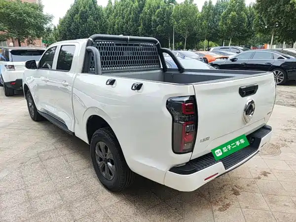 Great Wall Poer 2025