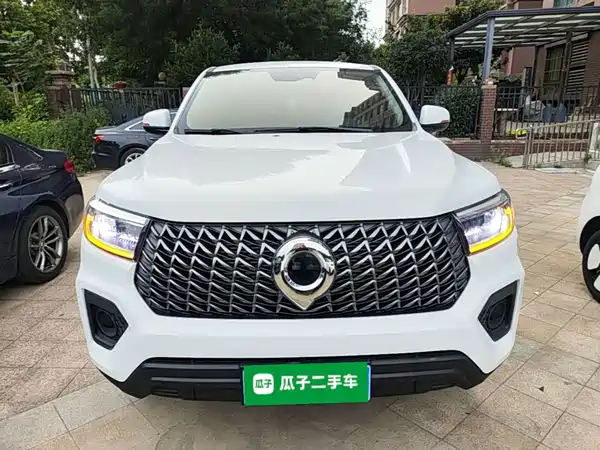 Great Wall Poer 2025