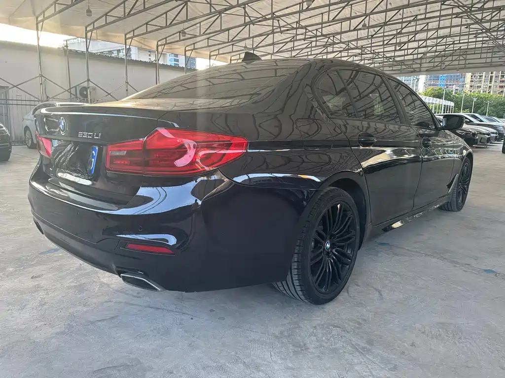 BMW 5 Series 2019 — фото 12