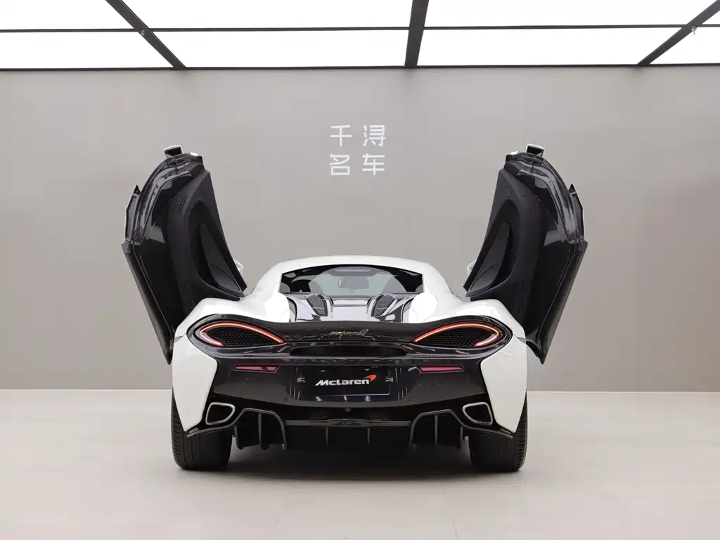 McLaren 540C 2016 — фото 13