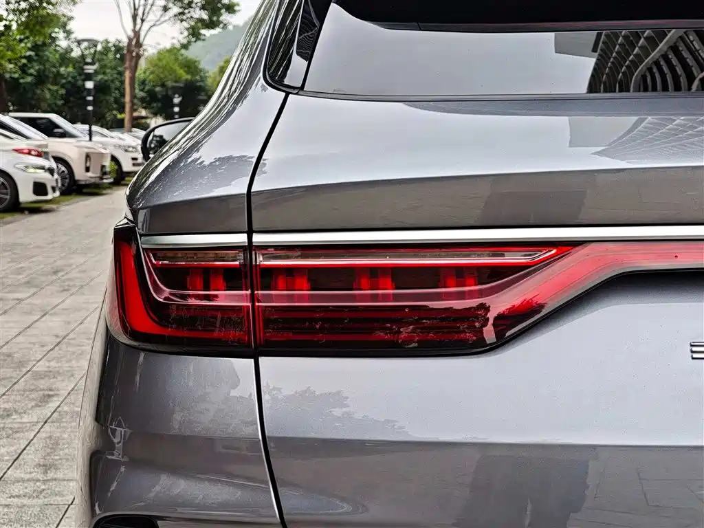 BYD PLUS New Energy 2022 — фото 14