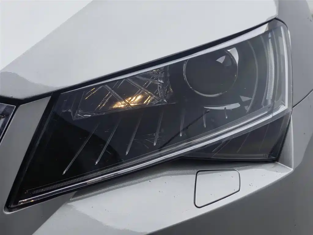 Skoda Speedy 2018