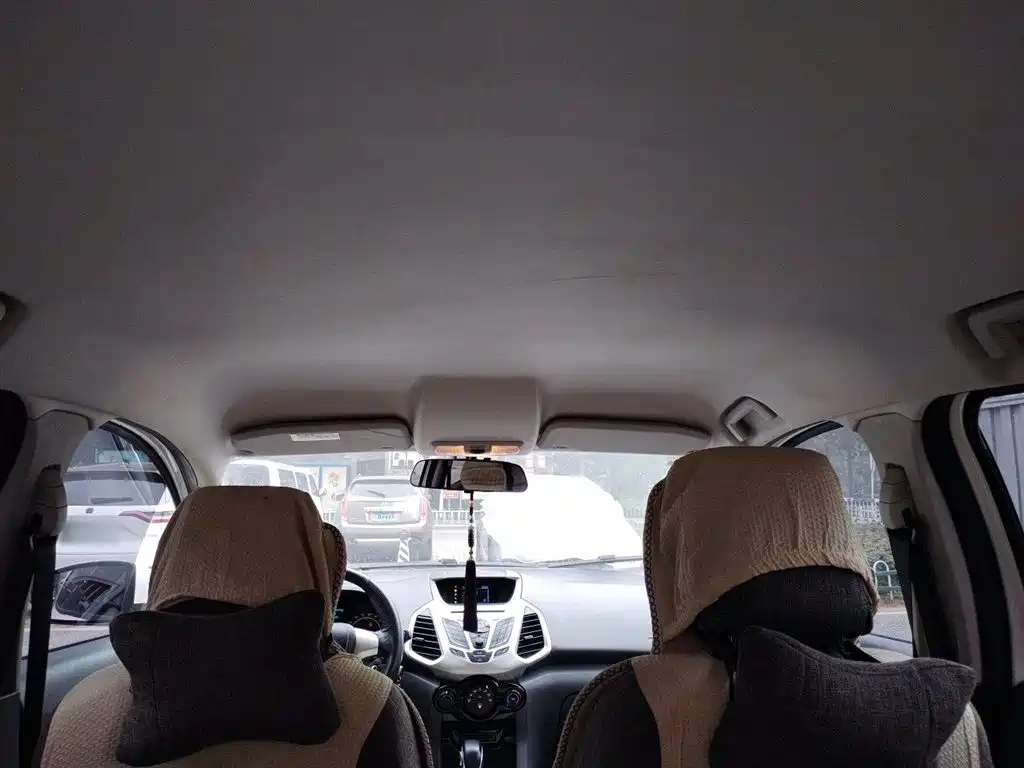 Ford Ecosport 2015 — фото 14