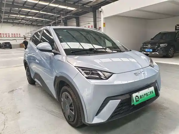 BYD Seagull 2024