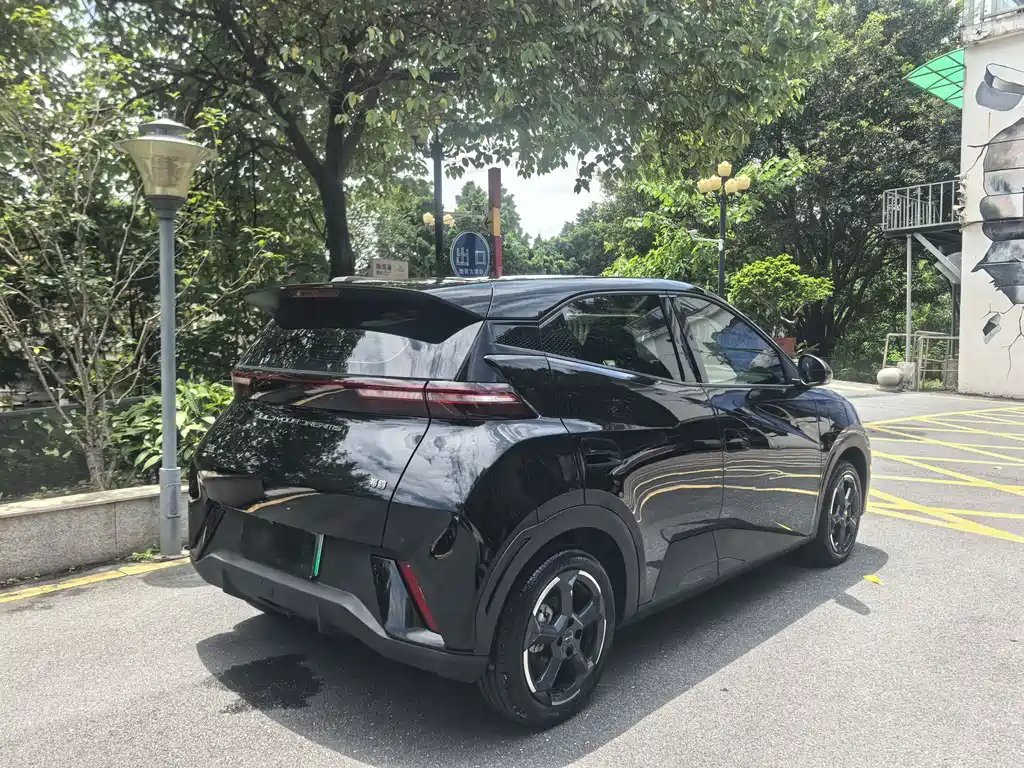BYD Seagull 2024