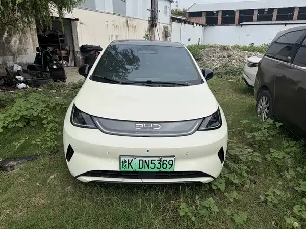 BYD Dolphin 2025