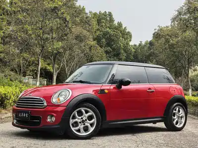 MINI MINI 2012