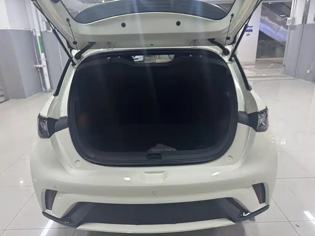 BYD Dolphin 2025 — фото 10