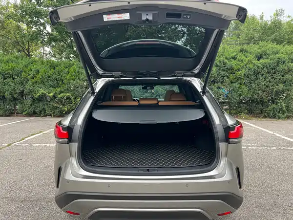 Lexus RX 2025