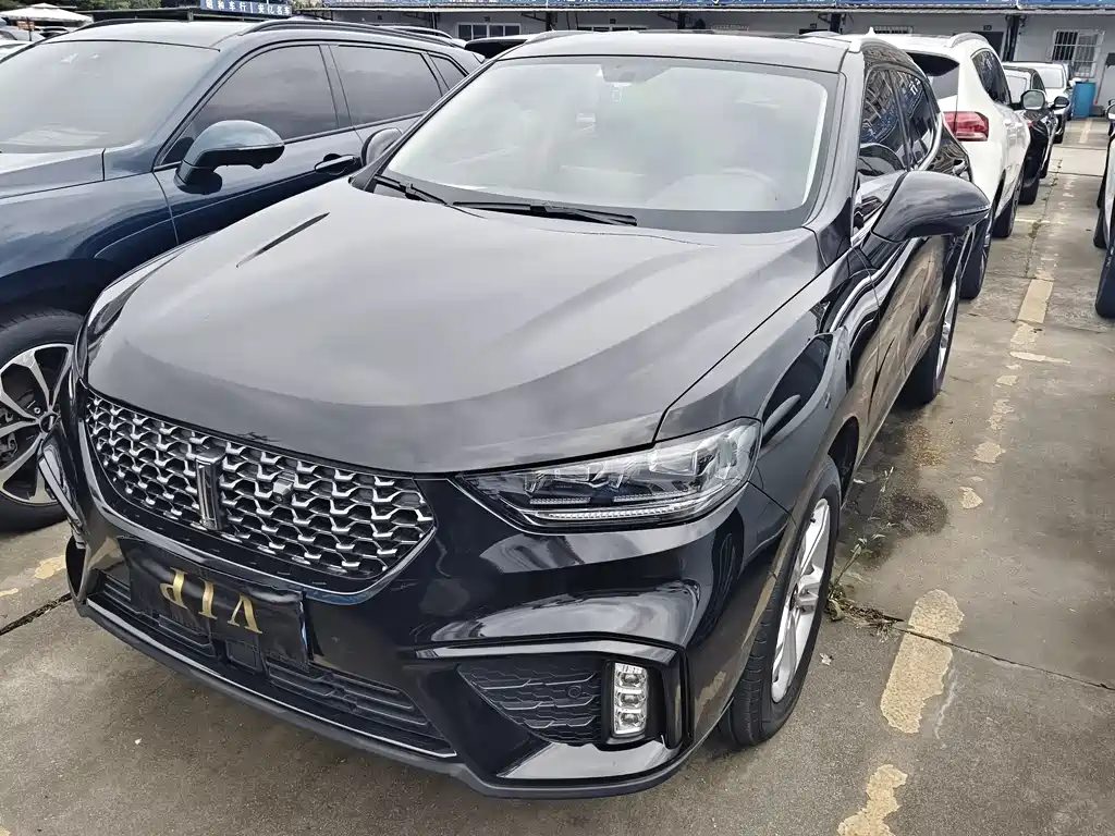 Wey VV5 2020
