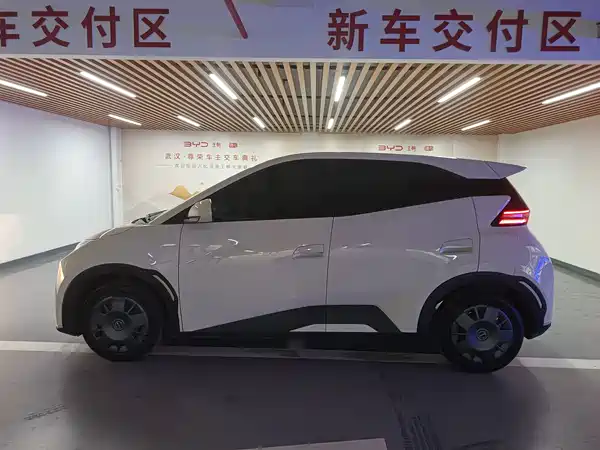 BYD Seagull 2024