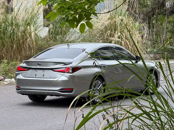 Lexus ES 2020