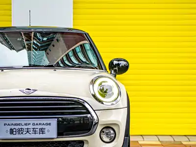 MINI MINI 2018