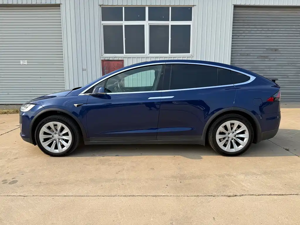 Tesla Model X 2021 — фото 6