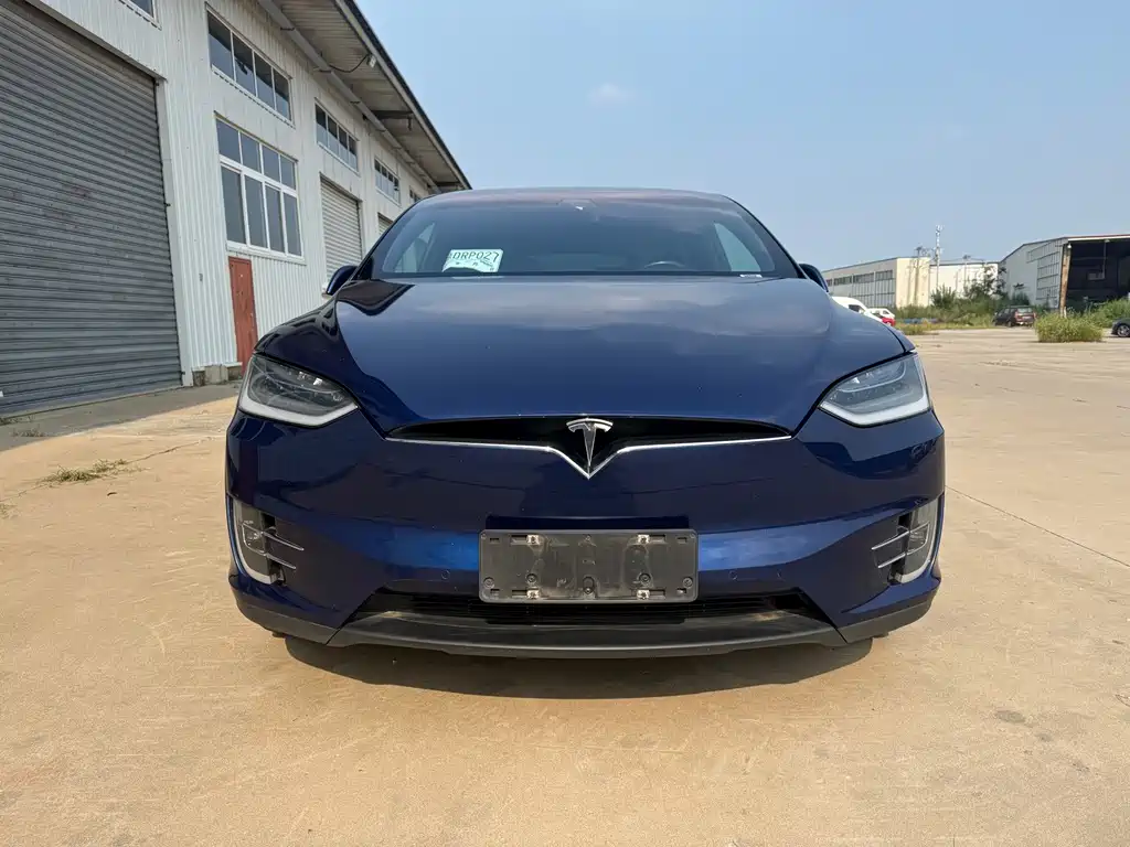 Tesla Model X 2021 — фото 2