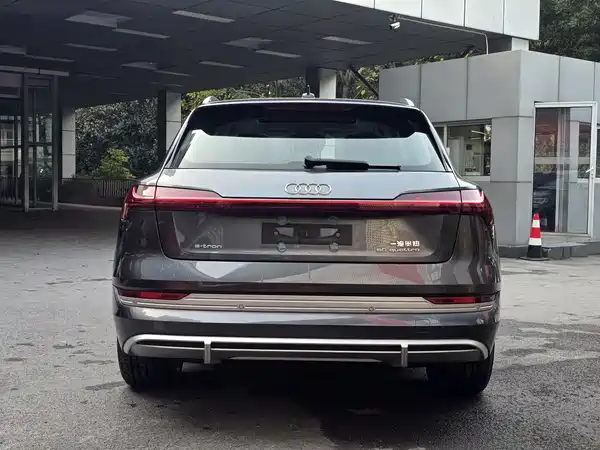 Audi e-tron 2021