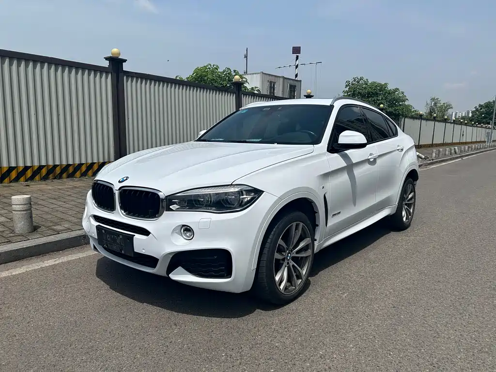 BMW X6 2017 — фото 1