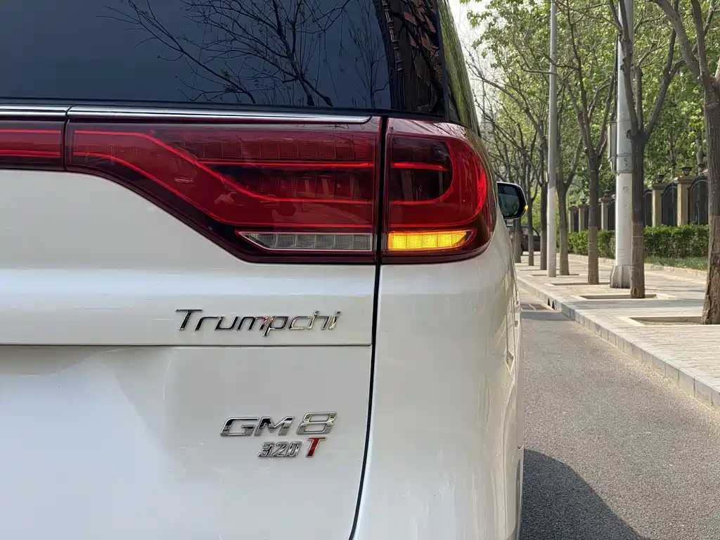 GAC Motor Trumpchi M8 2018 — фото 11