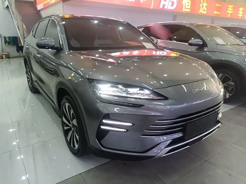 BYD PLUS New Energy 2023 — фото 4