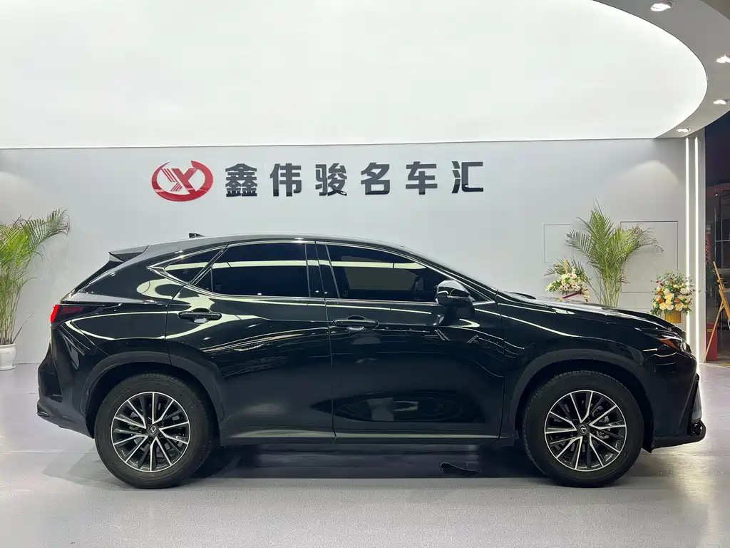 Lexus NX 2024 — фото 5