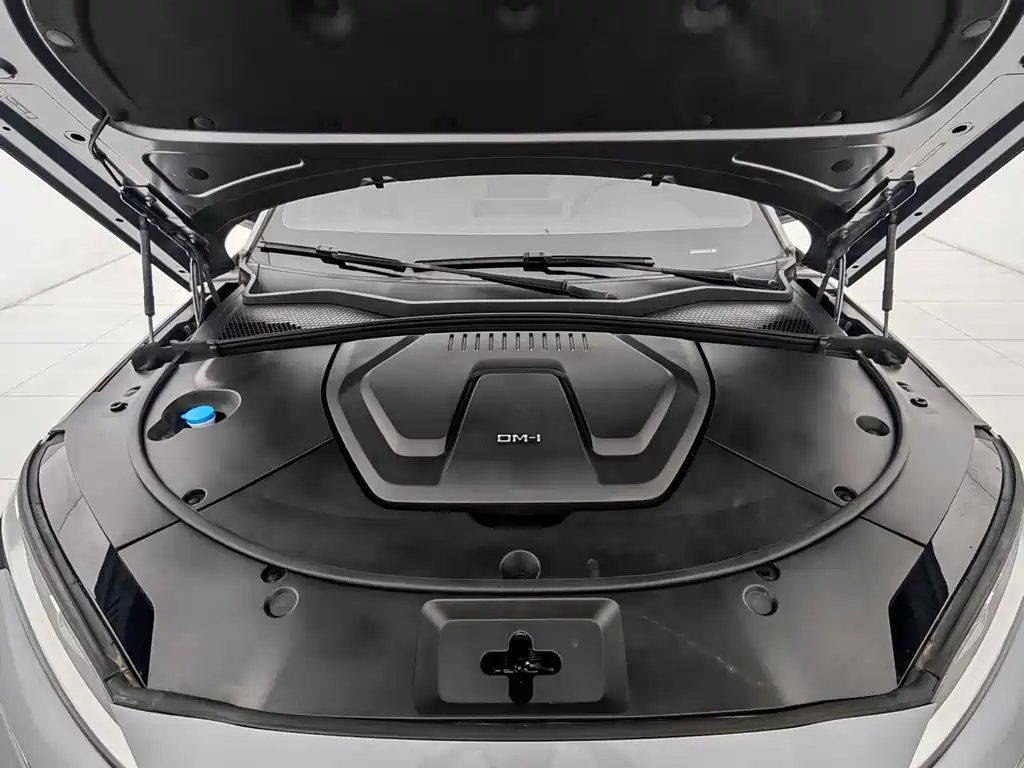 BYD Song PLUS New Energy 2023 — фото 9