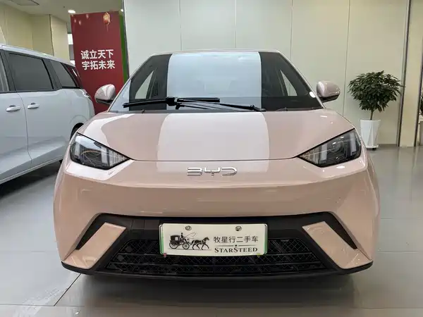 BYD Seagull 2025