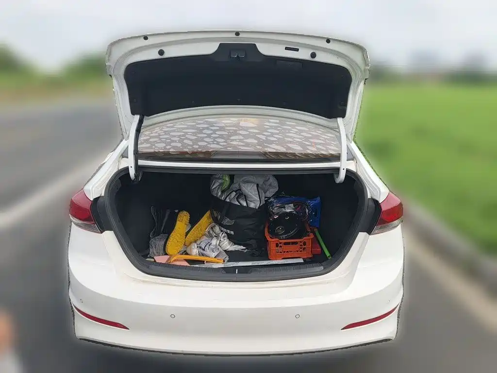 Hyundai Celesta 2017 — фото 15