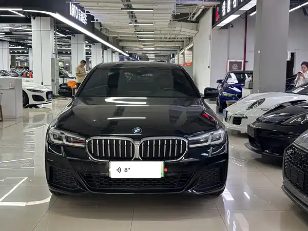 BMW 5 Series New Energy 2021