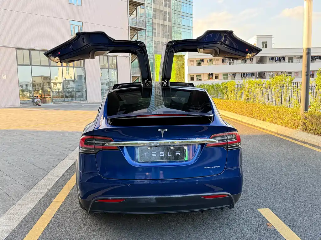 Tesla Model X 2019 — фото 19
