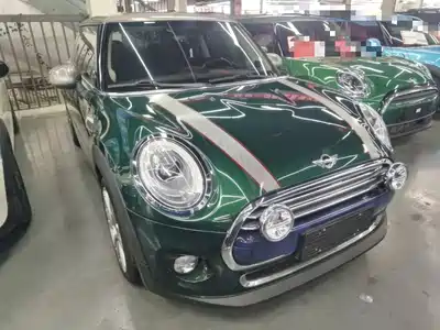 MINI MINI 2017