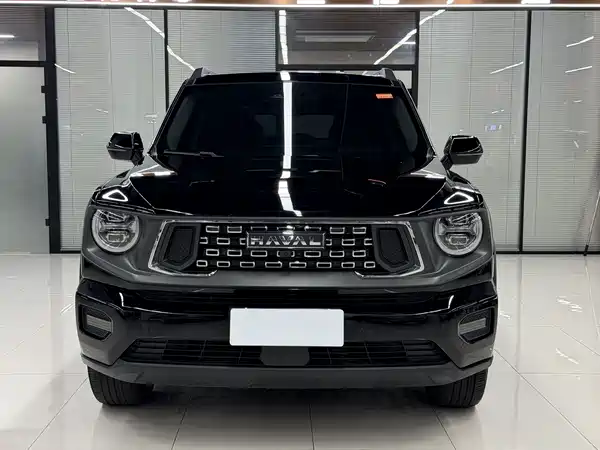 Haval Dog PLUS 2024