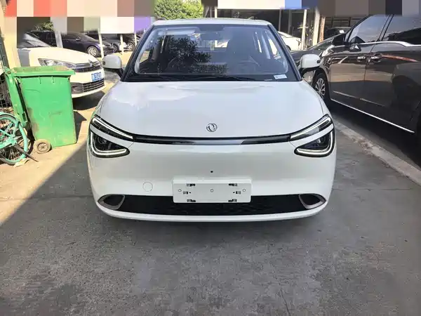 Dongfeng Nano 01 2025