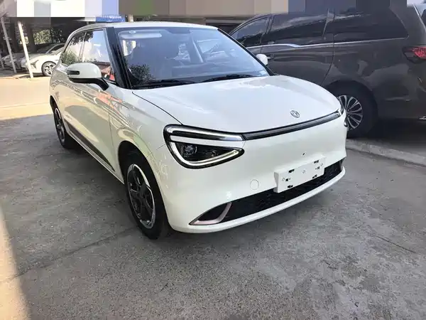 Dongfeng Nano 01 2025