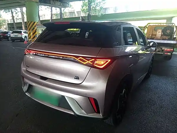 BYD Dolphin 2022