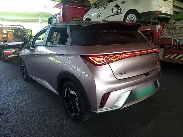 BYD Dolphin 2022