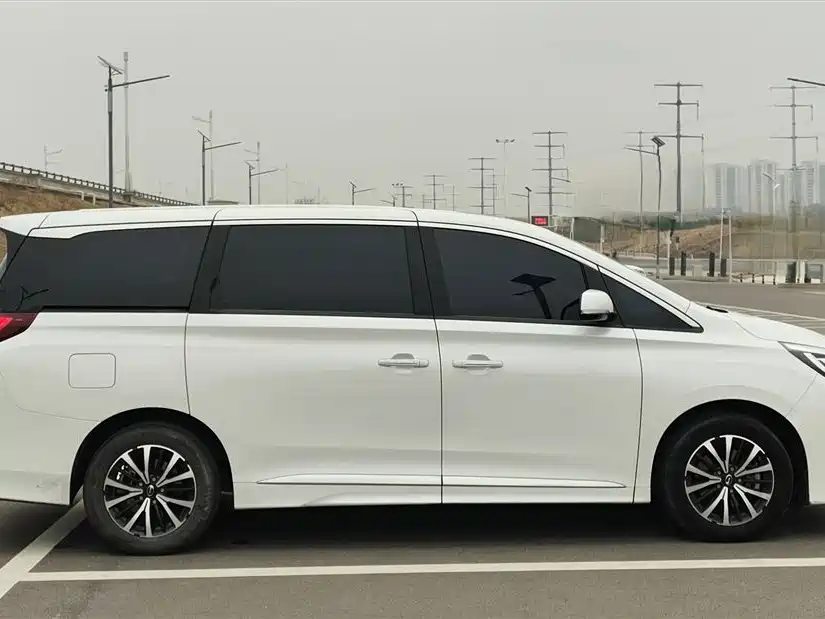 GAC Motor Trumpchi M8 2024 — фото 6