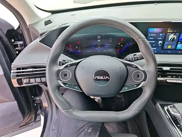 Dongfeng Haoji 2025