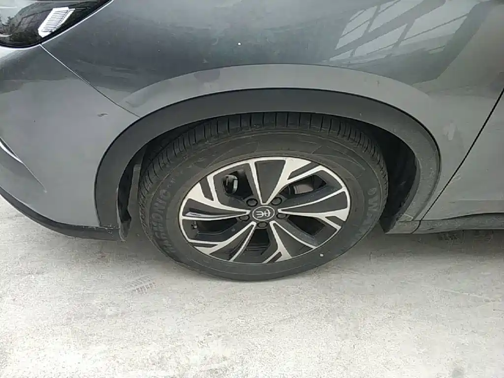 BYD Pro New Energy 2025 — фото 23
