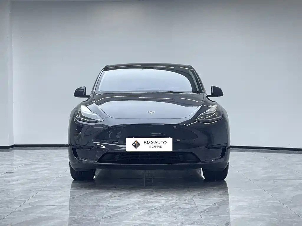 Tesla Model Y 2024 — фото 5