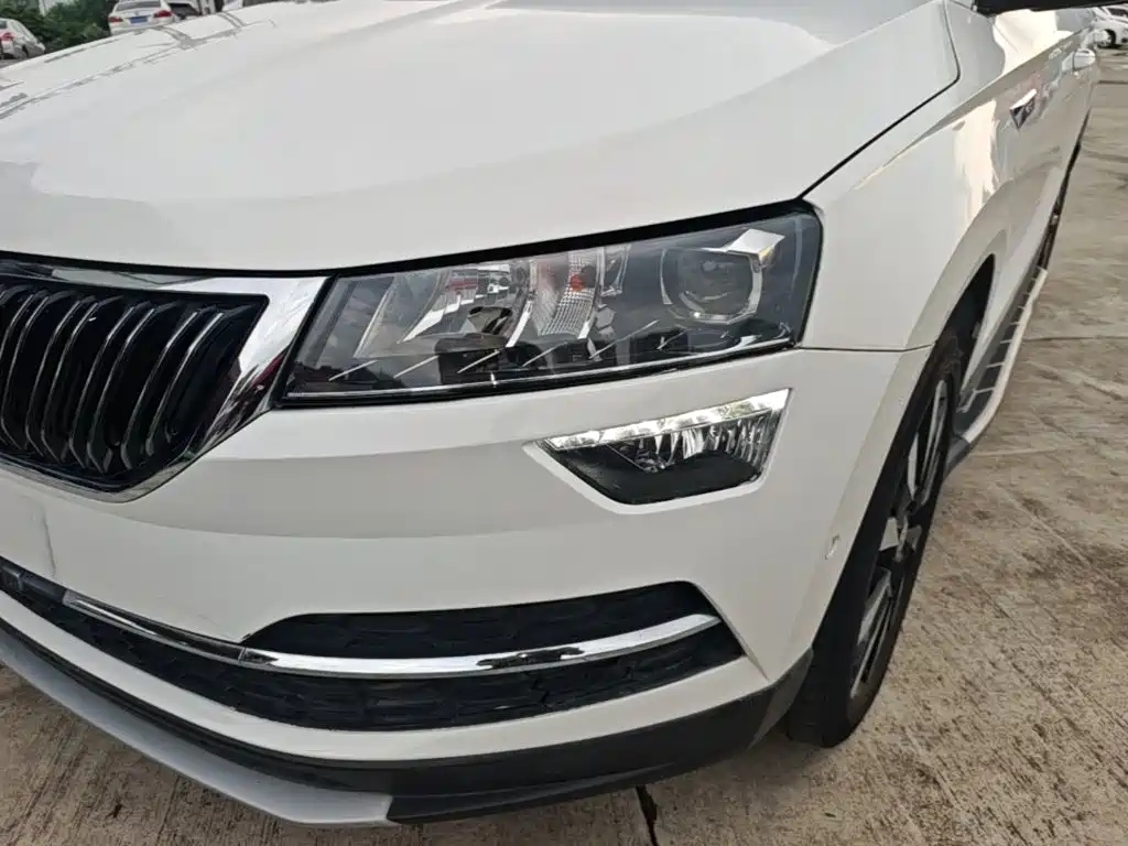 Skoda Karoq 2020 — фото 24