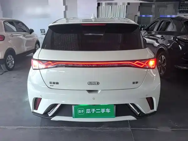 BYD Dolphin 2024