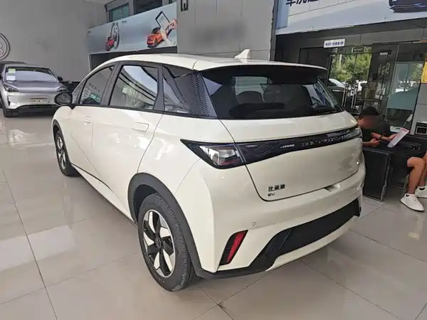 BYD Dolphin 2026